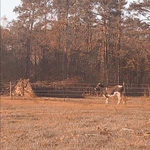 Meet your Posher, Wendy